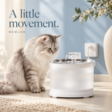 A little movement.