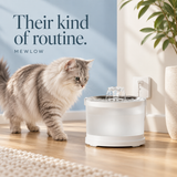 Their kind of routine.