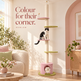 Colour for their corner.