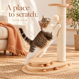 A place to scratch.