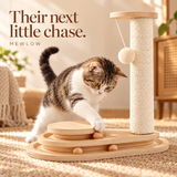 Their next little chase.