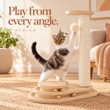 Play from every angle.