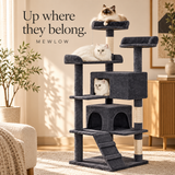 Up where they belong.