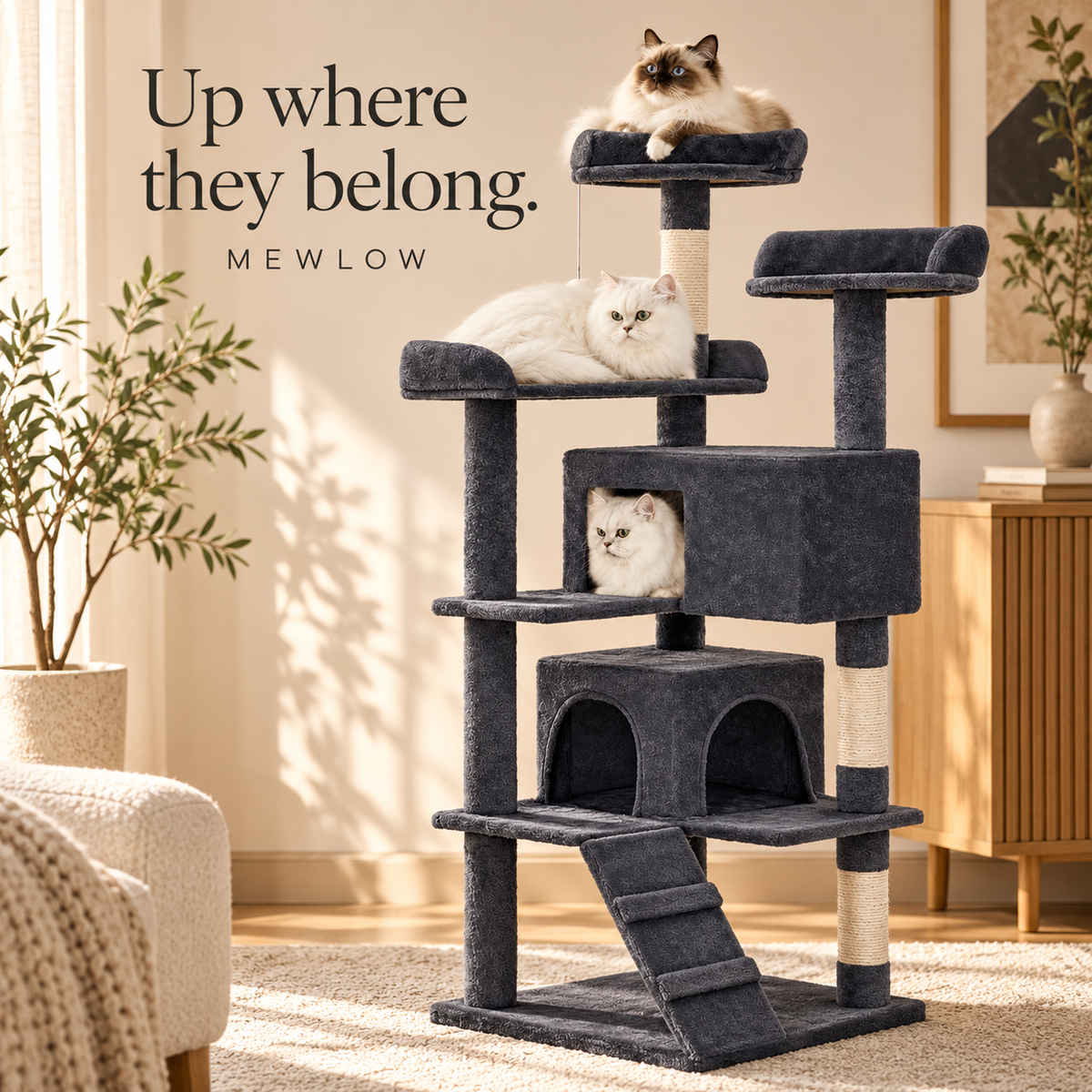 Up where they belong.